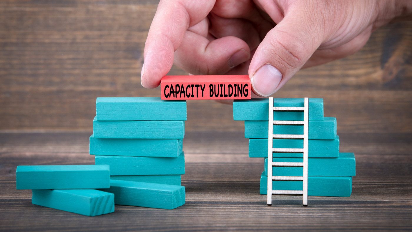 capacity building